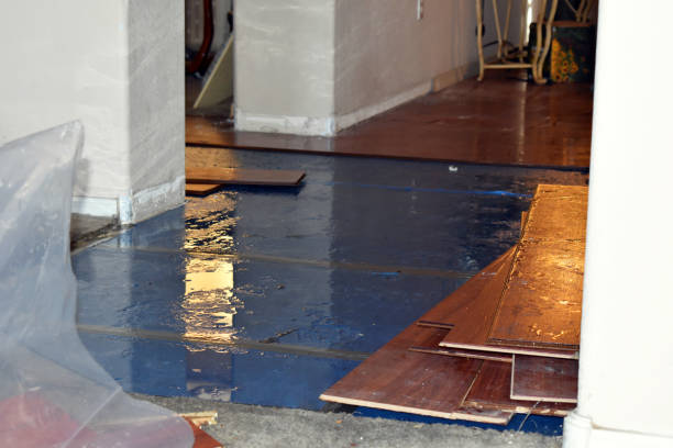 Professional Basement Flooding technician working in Levittown, PA